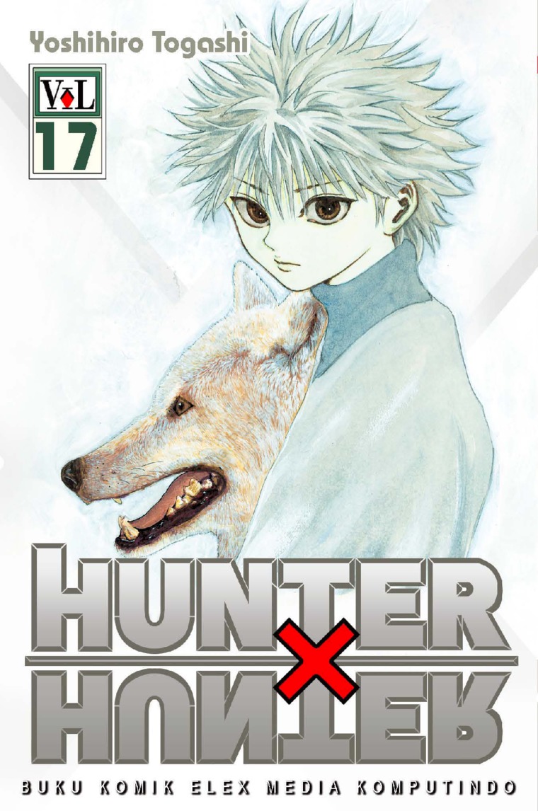 Hunter X Hunter
